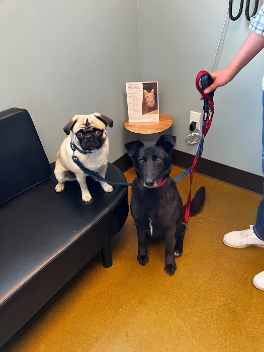 Rainier Veterinary Hospital 12