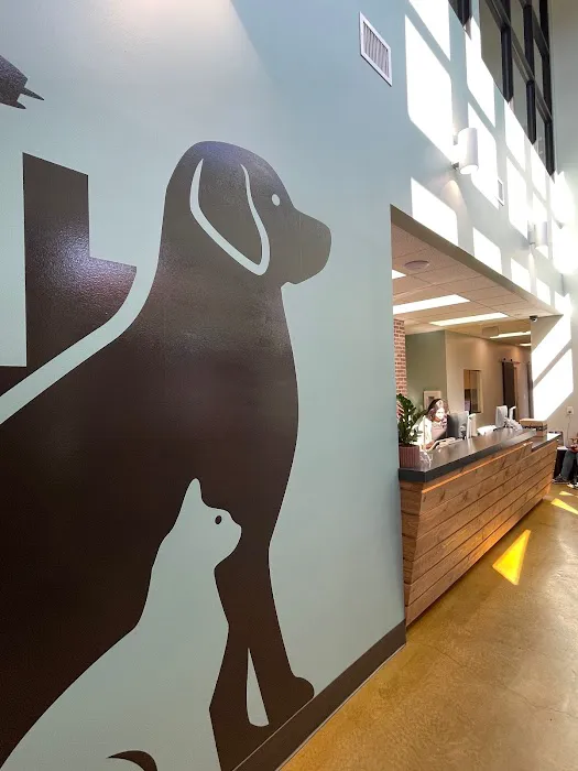 Rainier Veterinary Hospital 12