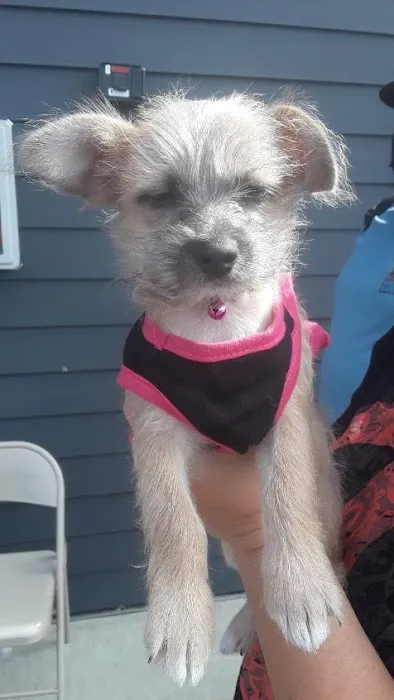 Doney Coe Pet Clinic 12