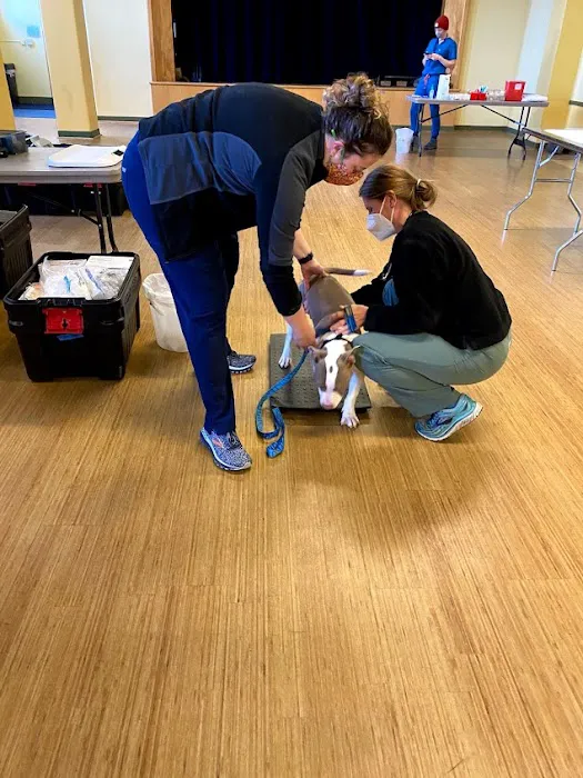 Doney Coe Pet Clinic 12