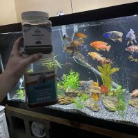Cunningham Tropicals, LLC ico