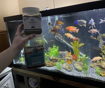 Cunningham Tropicals, LLC