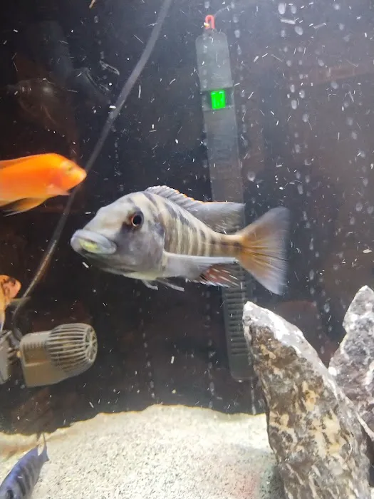 Cunningham Tropicals, LLC 2