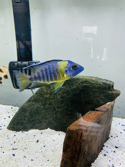 Cunningham Tropicals, LLC 5