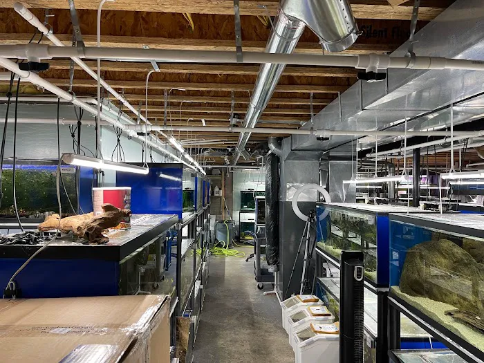 Cunningham Tropicals, LLC 9