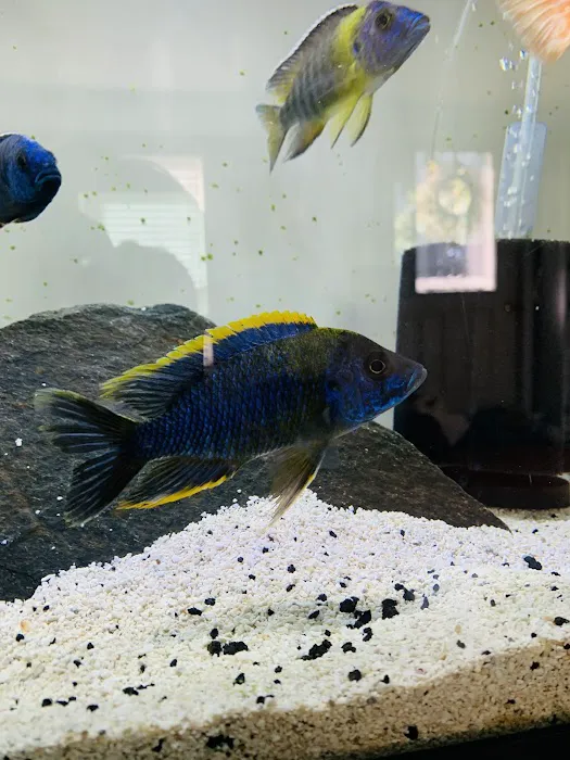 Cunningham Tropicals, LLC 8