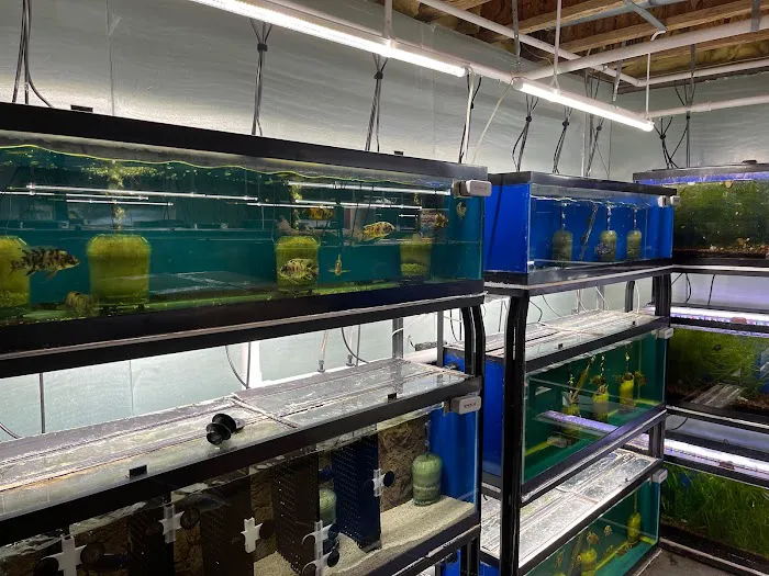 Cunningham Tropicals, LLC 6