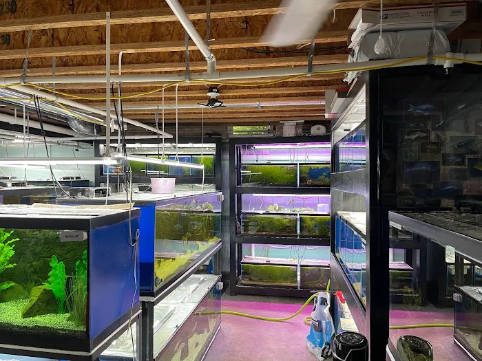 Cunningham Tropicals, LLC 10