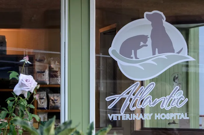 Atlantic Veterinary Hospital 12