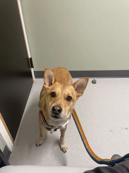 Atlantic Veterinary Hospital 12