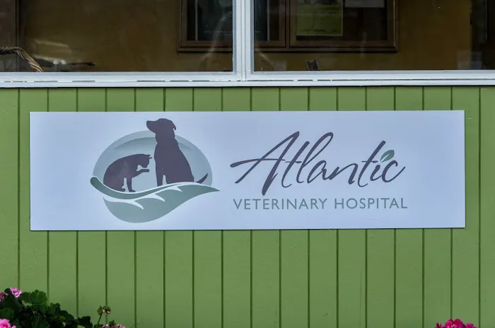 Atlantic Veterinary Hospital 12