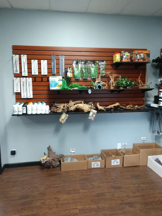 Clean Aquariums 1