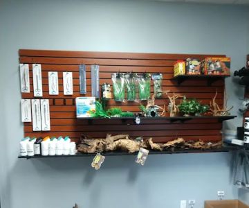 Clean Aquariums