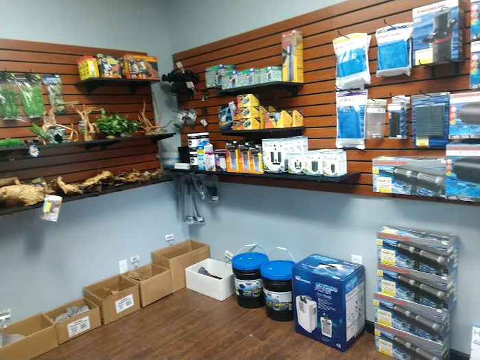 Clean Aquariums 3