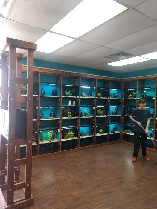 Clean Aquariums 2