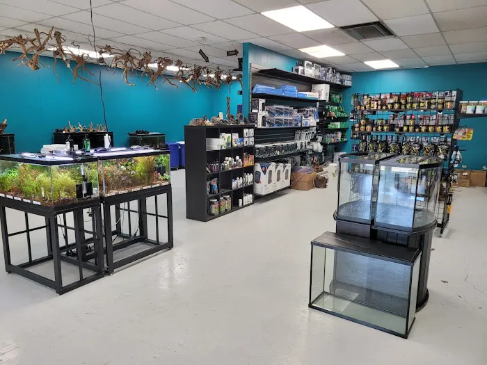 Clean Aquariums 8