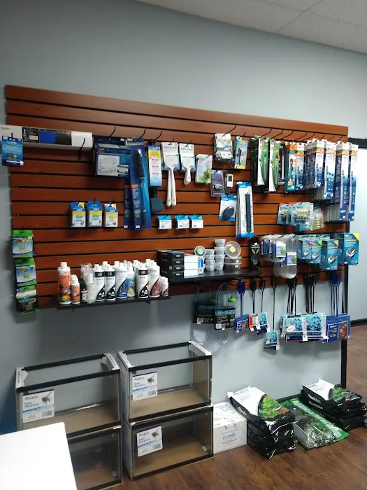Clean Aquariums 5