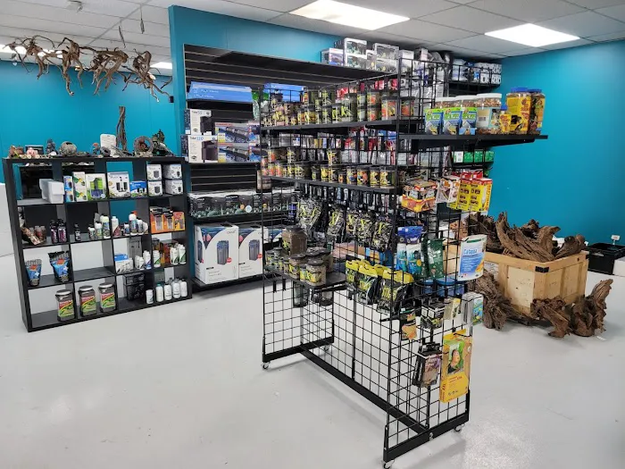 Clean Aquariums 10