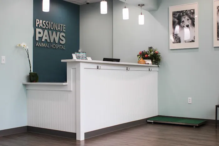 Passionate Paws Animal Hospital 5