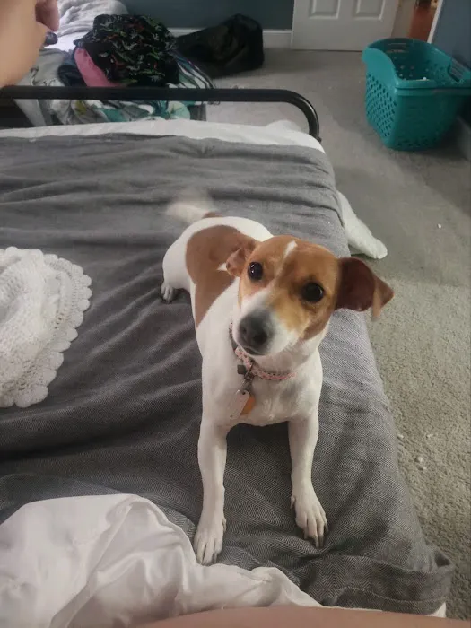 Banfield Pet Hospital 2