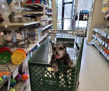 Pet Supplies Plus Royal Oak