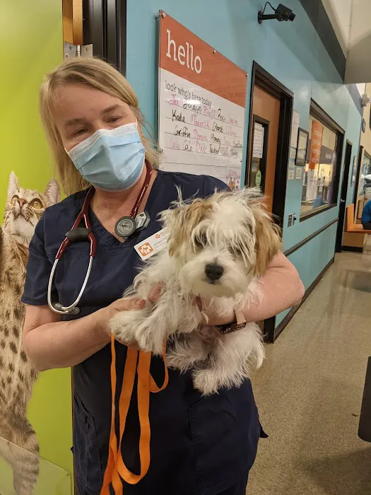 Banfield Pet Hospital 9