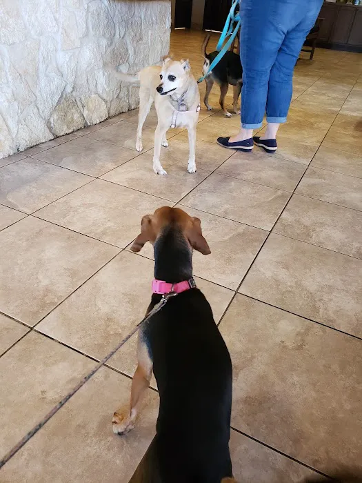 All Community Animal Hospital 12