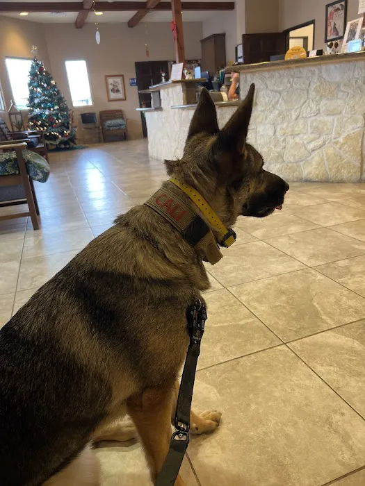 All Community Animal Hospital 12