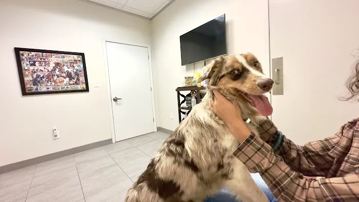 Northpark Animal Hospital 12