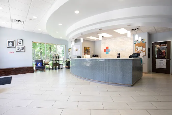 Kings Crossing Animal Hospital 7