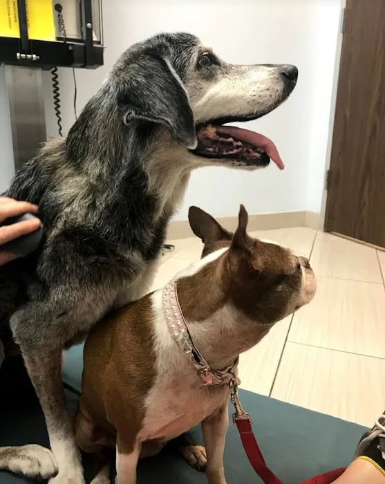 Kings Crossing Animal Hospital 6