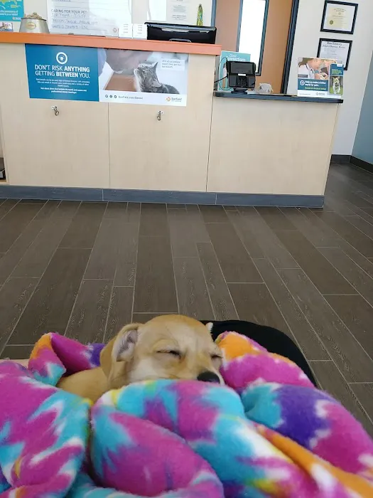 Banfield Pet Hospital 12
