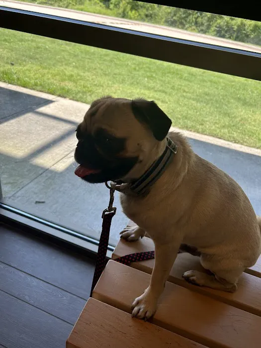Banfield Pet Hospital 12