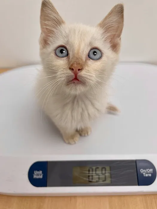 Dexter and Evie Veterinary Clinic + Urgent Care 5