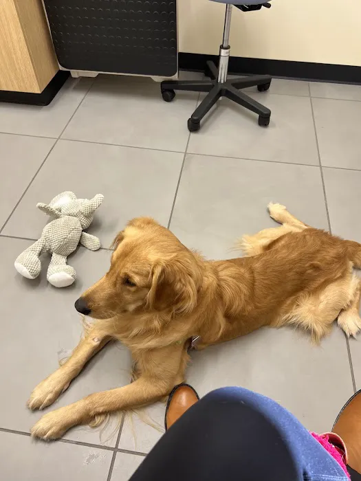 Modern Animal Veterinary Care 12