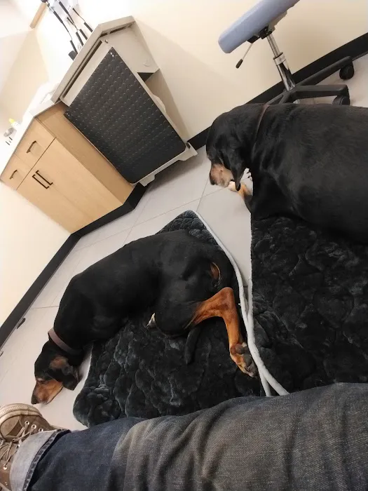 Modern Animal Veterinary Care 12