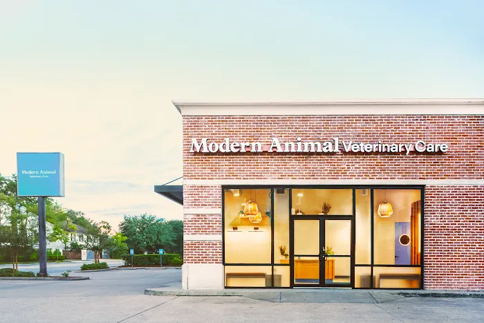 Modern Animal Veterinary Care 12