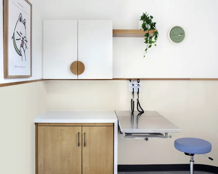 Modern Animal Veterinary Care 12