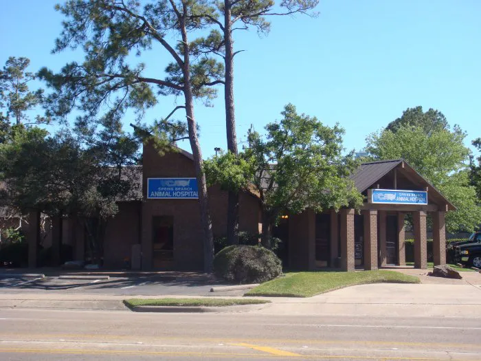 VCA Spring Branch Animal Hospital 12
