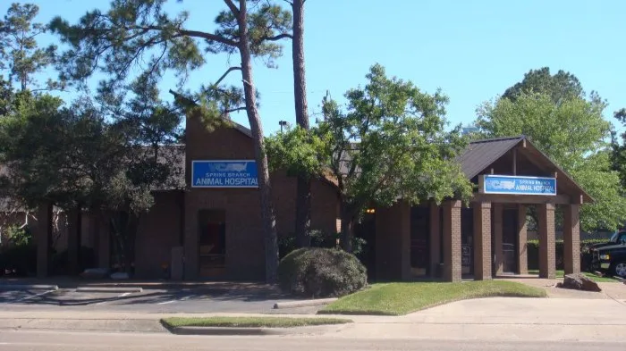 VCA Spring Branch Animal Hospital 12
