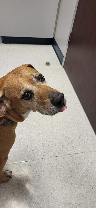 Tanner Lakes Animal Clinic 12
