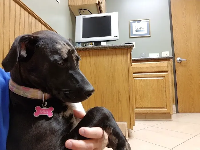 Jersey Village Animal Hospital 12