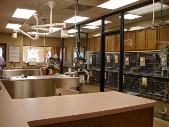 Jersey Village Animal Hospital 12