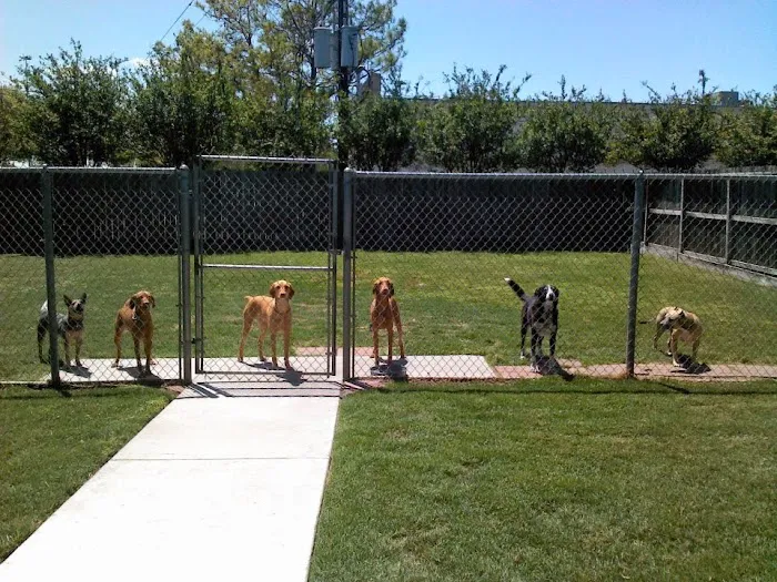 Jersey Village Animal Hospital 12