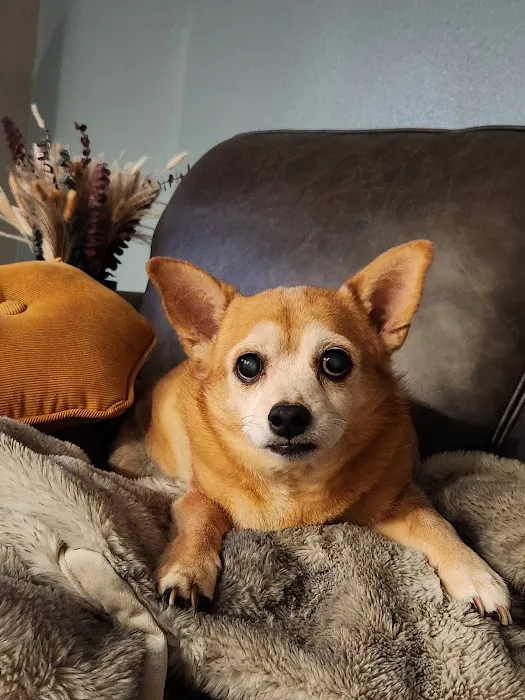 Jersey Village Animal Hospital 12