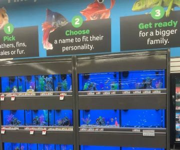 Pet Supplies Plus Grand Blanc