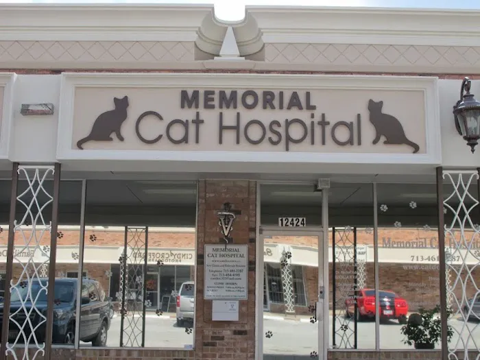Memorial Cat Hospital 12