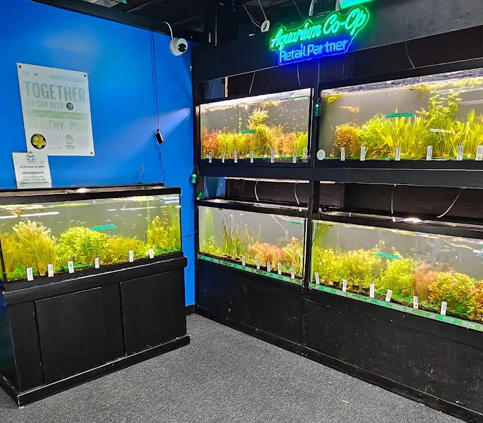 Aquatic Innovation 4