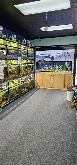 Aquatic Innovation 2