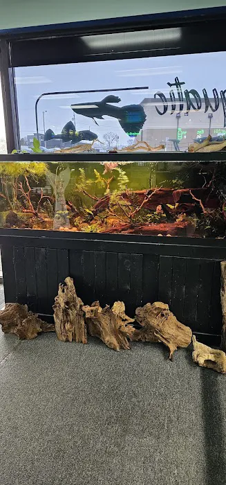 Aquatic Innovation 10